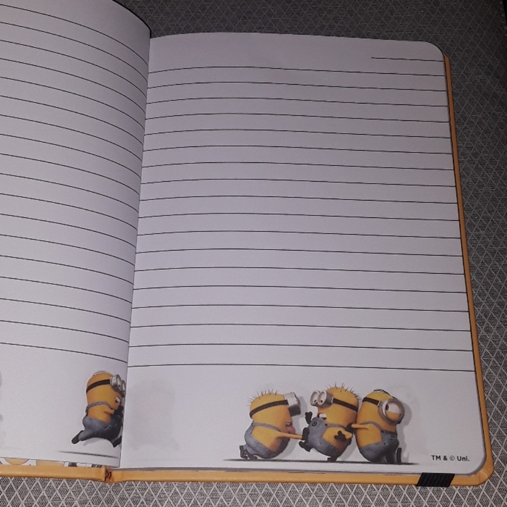 Despicable Me Journal 💛 - Picture 2 of 2